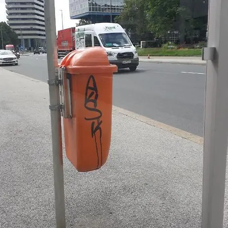 Mostly Muse * Eidenberg