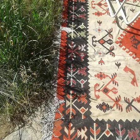 Mostly Muse Eidenberg