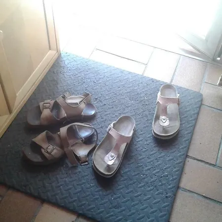 Mostly Muse Eidenberg