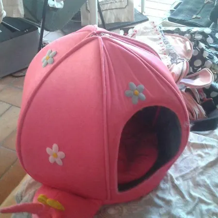 Mostly Muse Eidenberg