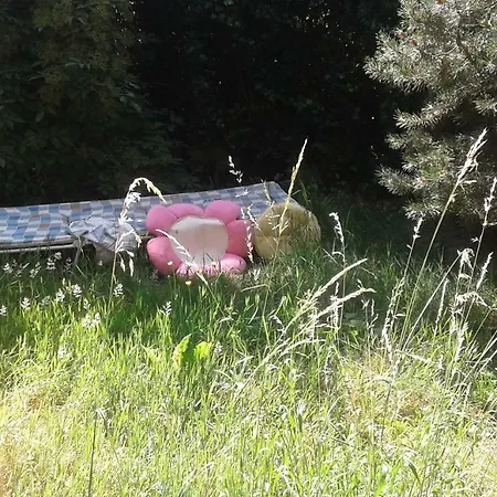 Mostly Muse Apartament *